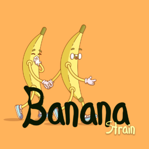 Banana Strain