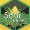 Sour Diesel Cartridges