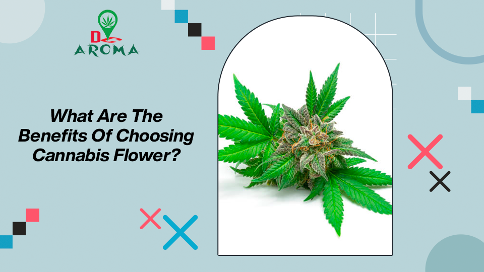 Read more about the article What Are The Benefits Of Choosing Cannabis Flower?