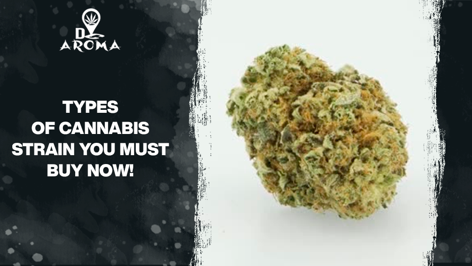 Read more about the article Types Of Cannabis Strain You Must Buy Now!