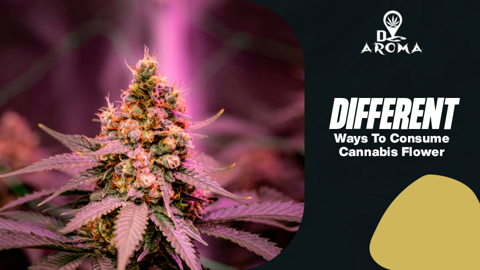 Read more about the article Different ways to consume cannabis flower