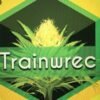 Trainwreck Strain